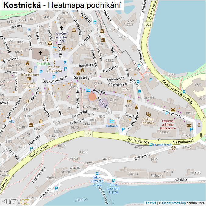 Mapa Kostnická - Firmy v ulici.