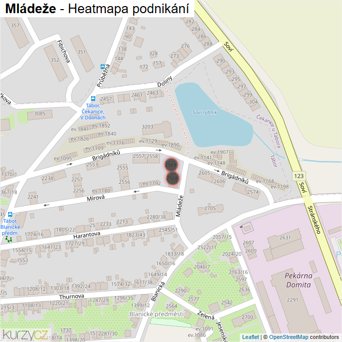 Mapa Mládeže - Firmy v ulici.