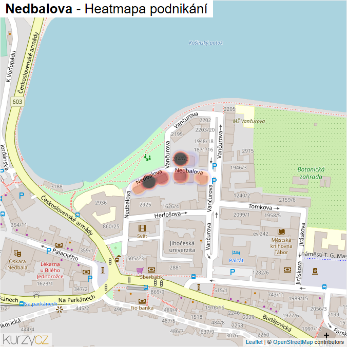Mapa Nedbalova - Firmy v ulici.