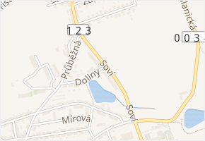 Soví v obci Tábor - mapa ulice