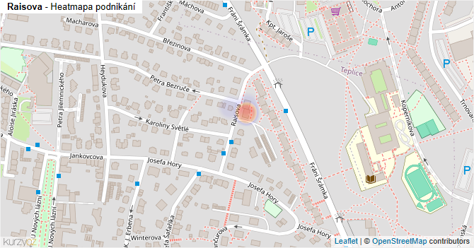 Raisova - mapa podnikání
