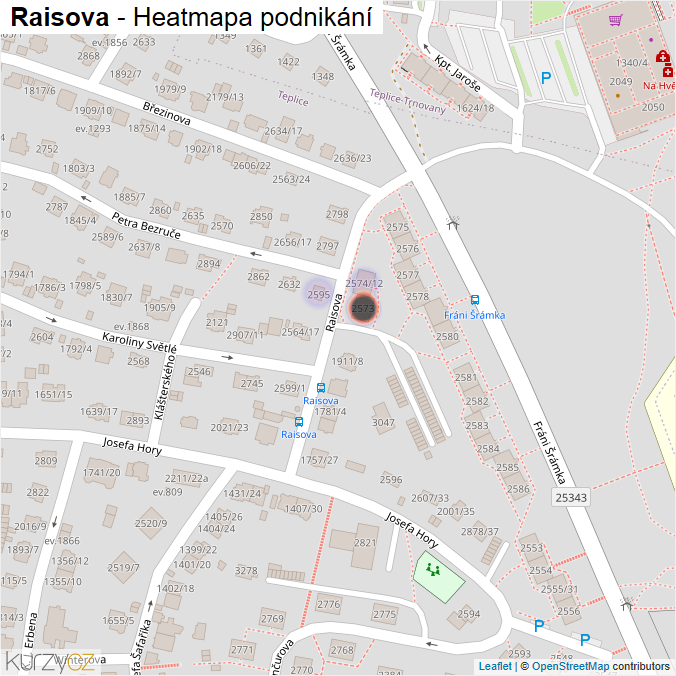 Mapa Raisova - Firmy v ulici.