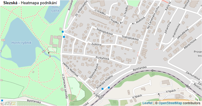 Slezská - mapa podnikání