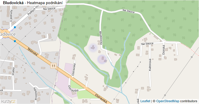 Bludovická - mapa podnikání