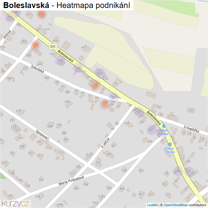 Mapa Boleslavská - Firmy v ulici.