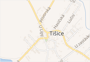 Javorová v obci Tišice - mapa ulice