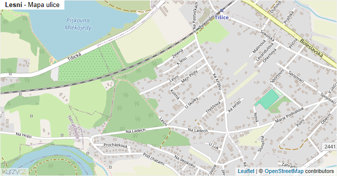 Lesní - mapa ulice