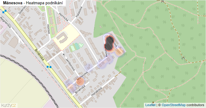 Mánesova - mapa podnikání