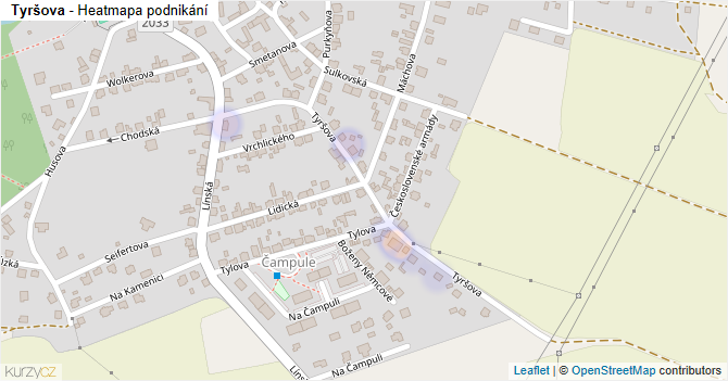 Tyršova - mapa podnikání