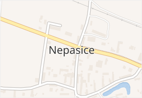 Nepasice v obci Třebechovice pod Orebem - mapa části obce