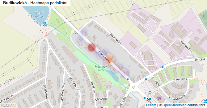Budíkovická - mapa podnikání