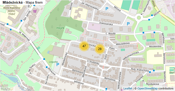Mládežnická - mapa firem