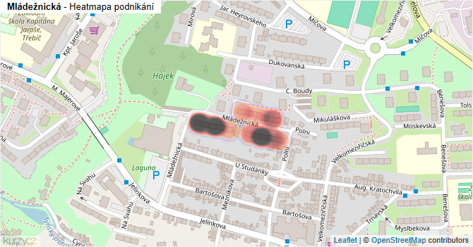 Mládežnická - mapa podnikání