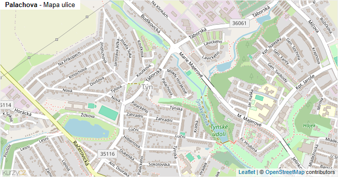 Palachova - mapa ulice