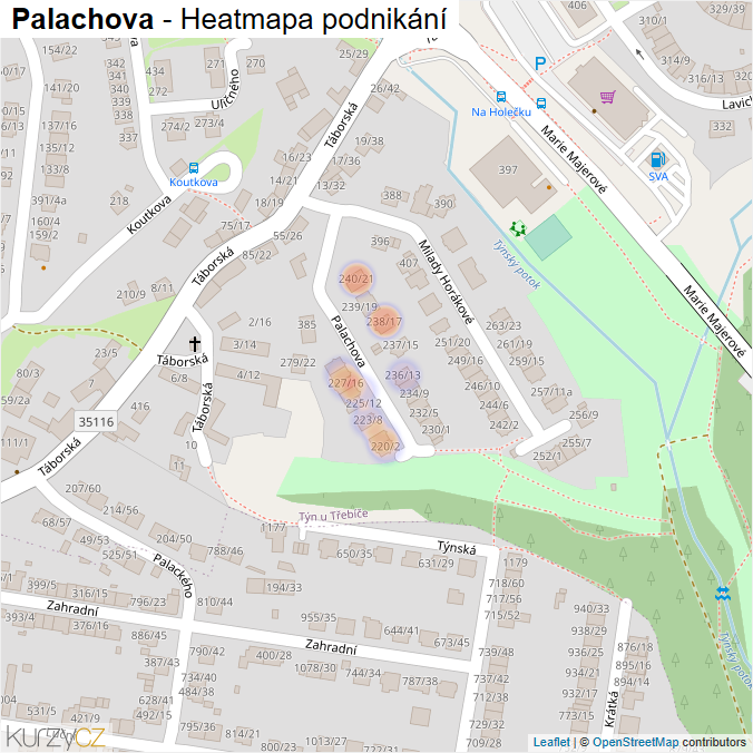 Mapa Palachova - Firmy v ulici.