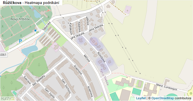 Růžičkova - mapa podnikání