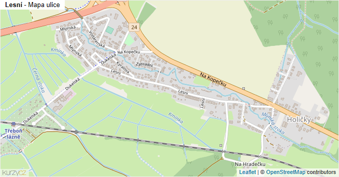Lesní - mapa ulice