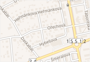 Ořechová v obci Třeboň - mapa ulice