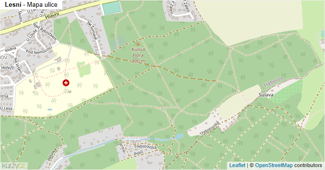 Lesní - mapa ulice