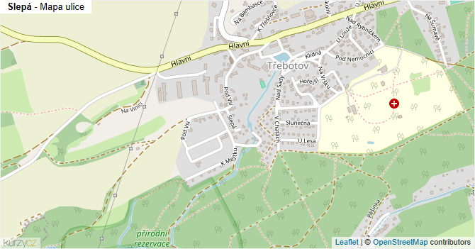 Slepá - mapa ulice