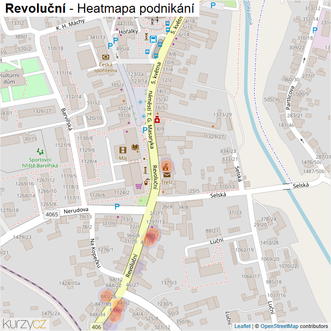 Mapa Revoluční - Firmy v ulici.