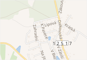 K Pasece v obci Trhový Štěpánov - mapa ulice