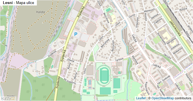 Lesní - mapa ulice