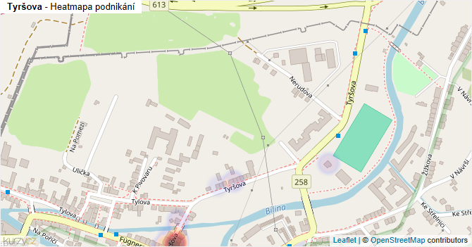 Tyršova - mapa podnikání