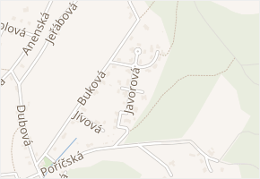 Habrová v obci Trutnov - mapa ulice