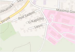 Lesní v obci Trutnov - mapa ulice