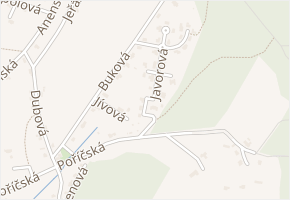 Olšová v obci Trutnov - mapa ulice