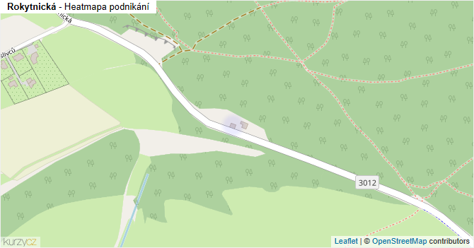 Rokytnická - mapa podnikání