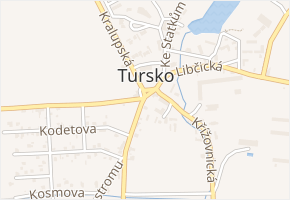 Ve Struhách v obci Tursko - mapa ulice