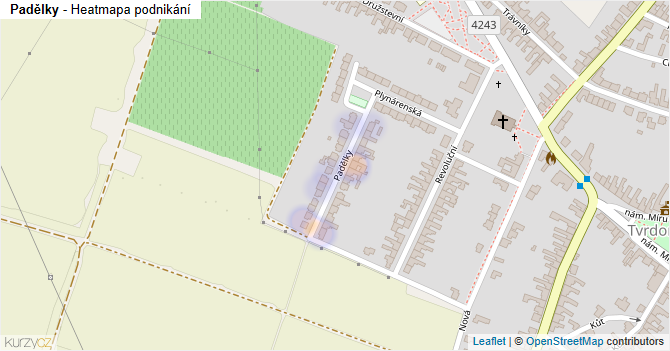 Padělky - mapa podnikání
