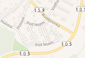 Pod lesem v obci Týn nad Vltavou - mapa ulice