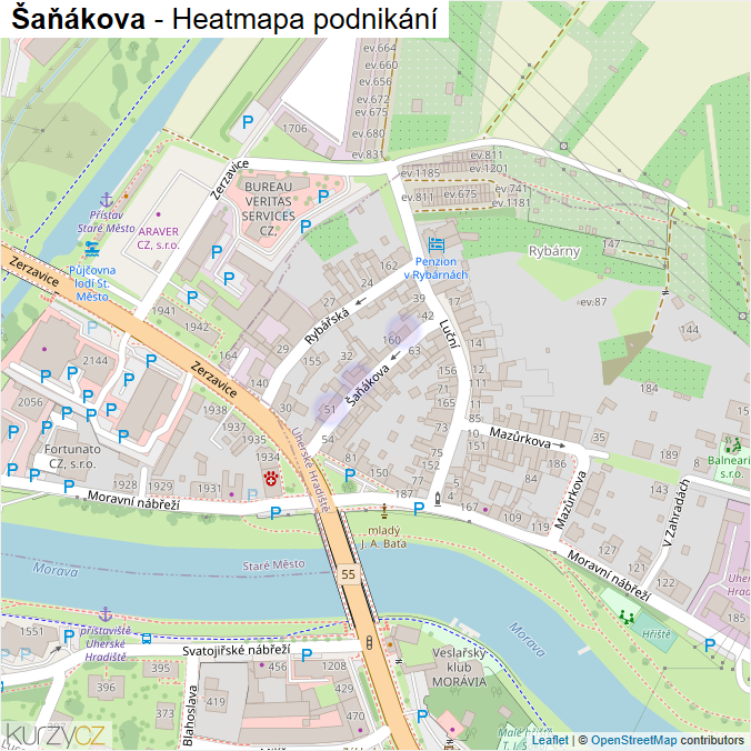 Mapa Šaňákova - Firmy v ulici.