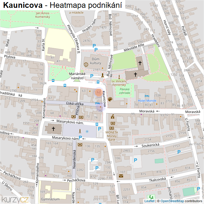 Mapa Kaunicova - Firmy v ulici.