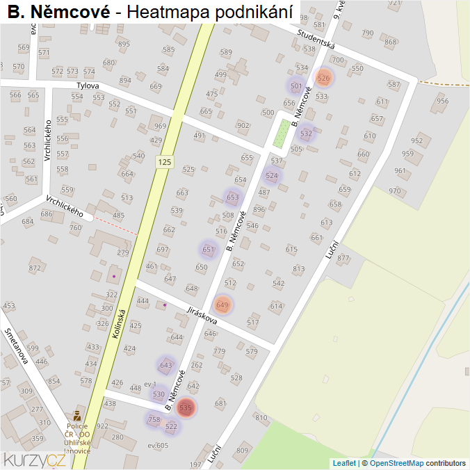 Mapa B. Němcové - Firmy v ulici.