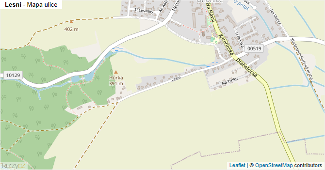 Lesní - mapa ulice