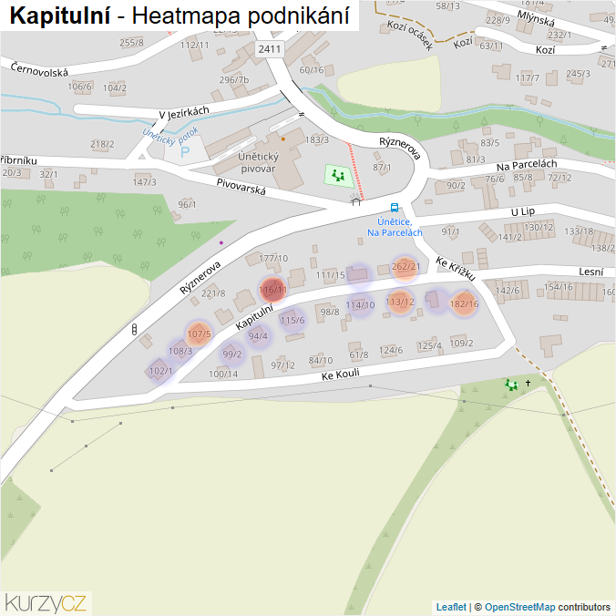 Mapa Kapitulní - Firmy v ulici.