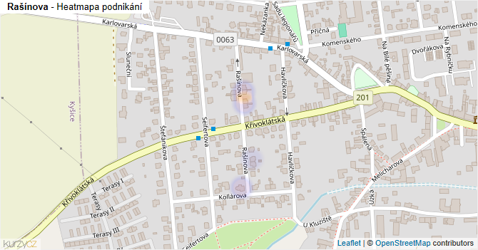 Rašínova - mapa podnikání