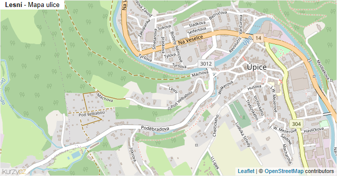 Lesní - mapa ulice