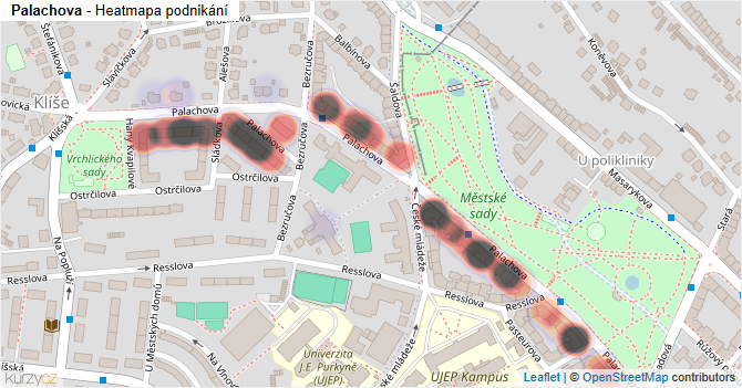 Palachova - mapa podnikání