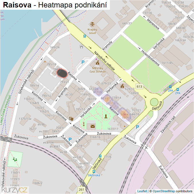 Mapa Raisova - Firmy v ulici.
