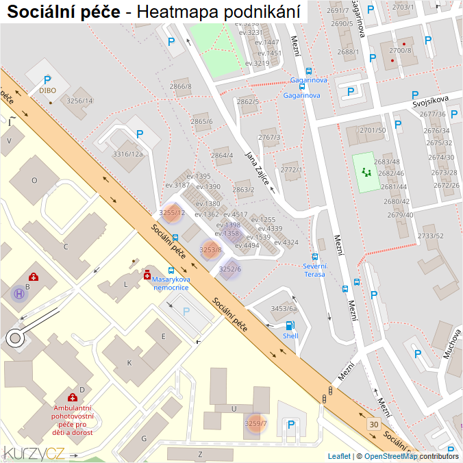 Mapa Sociální péče - Firmy v ulici.