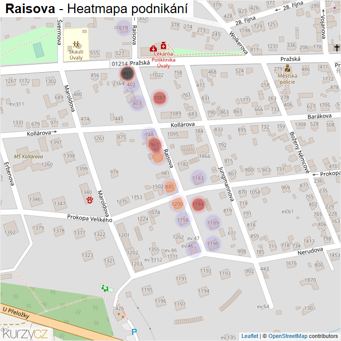 Mapa Raisova - Firmy v ulici.