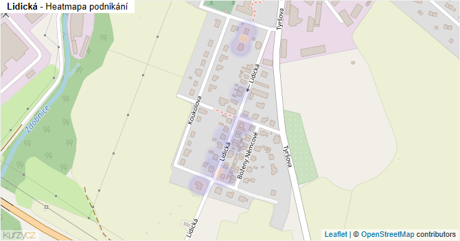 Lidická - mapa podnikání
