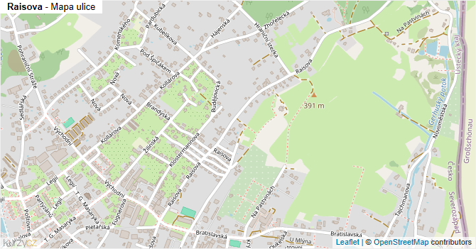 Raisova - mapa ulice