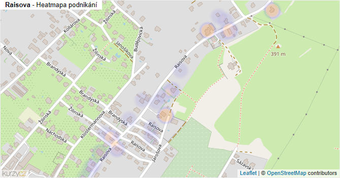 Raisova - mapa podnikání