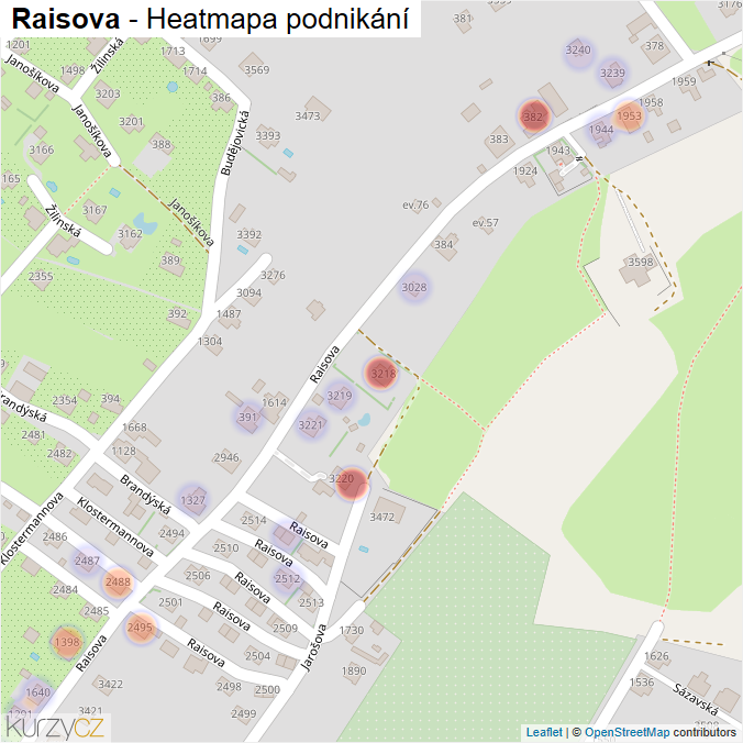 Mapa Raisova - Firmy v ulici.